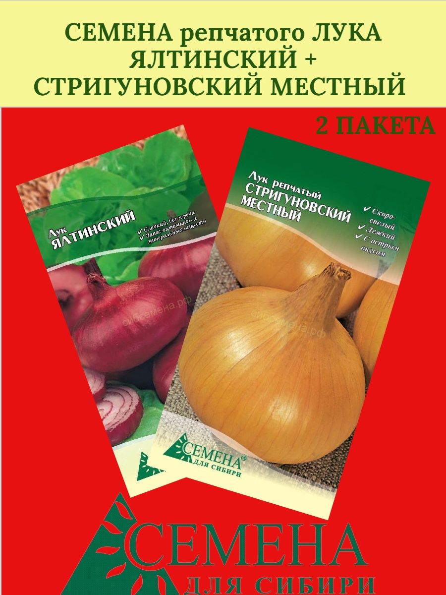 Лук репчатый стригуновский местный. Лук Стригуновский местный. Стригуновский лук описание и фото. Лук Сибирь отзывы. Луковый вулкан.