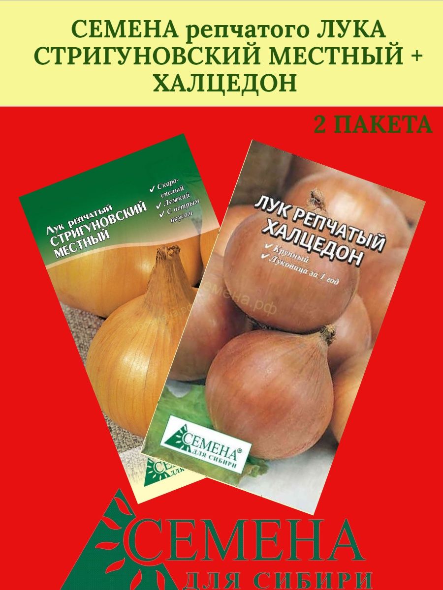 Лук репчатый стригуновский местный. Лук Сибирь отзывы. Лук Стригуновский описание сорта фото отзывы садоводов.