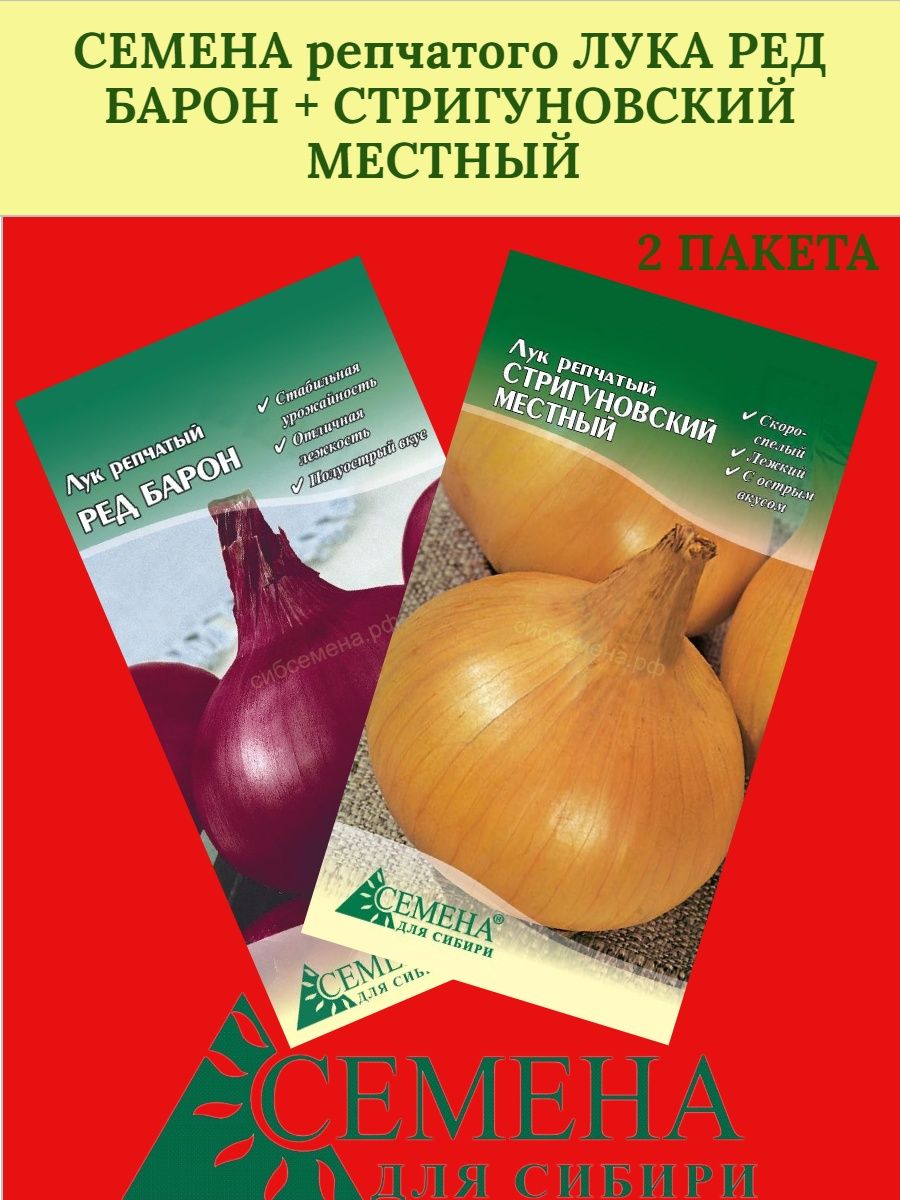 Лук репчатый стригуновский местный. Лук Стригуновский. Лук ред Барон. Лук Стригуновский описание сорта отзывы.