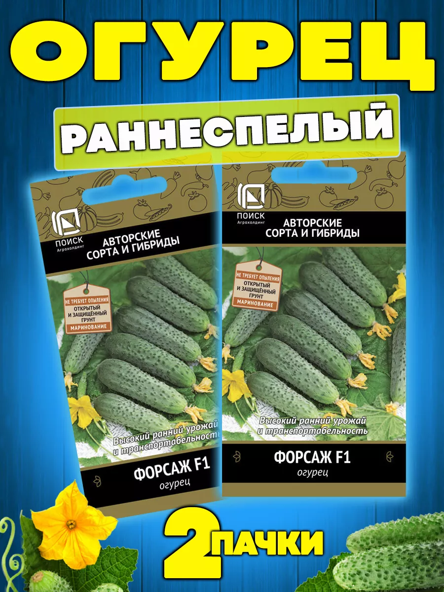 Семена огурцов высокий урожай раннеспелые Агрохолдинг Поиск 160331245 купить за 135 ₽ в интернет-магазине Wildberries