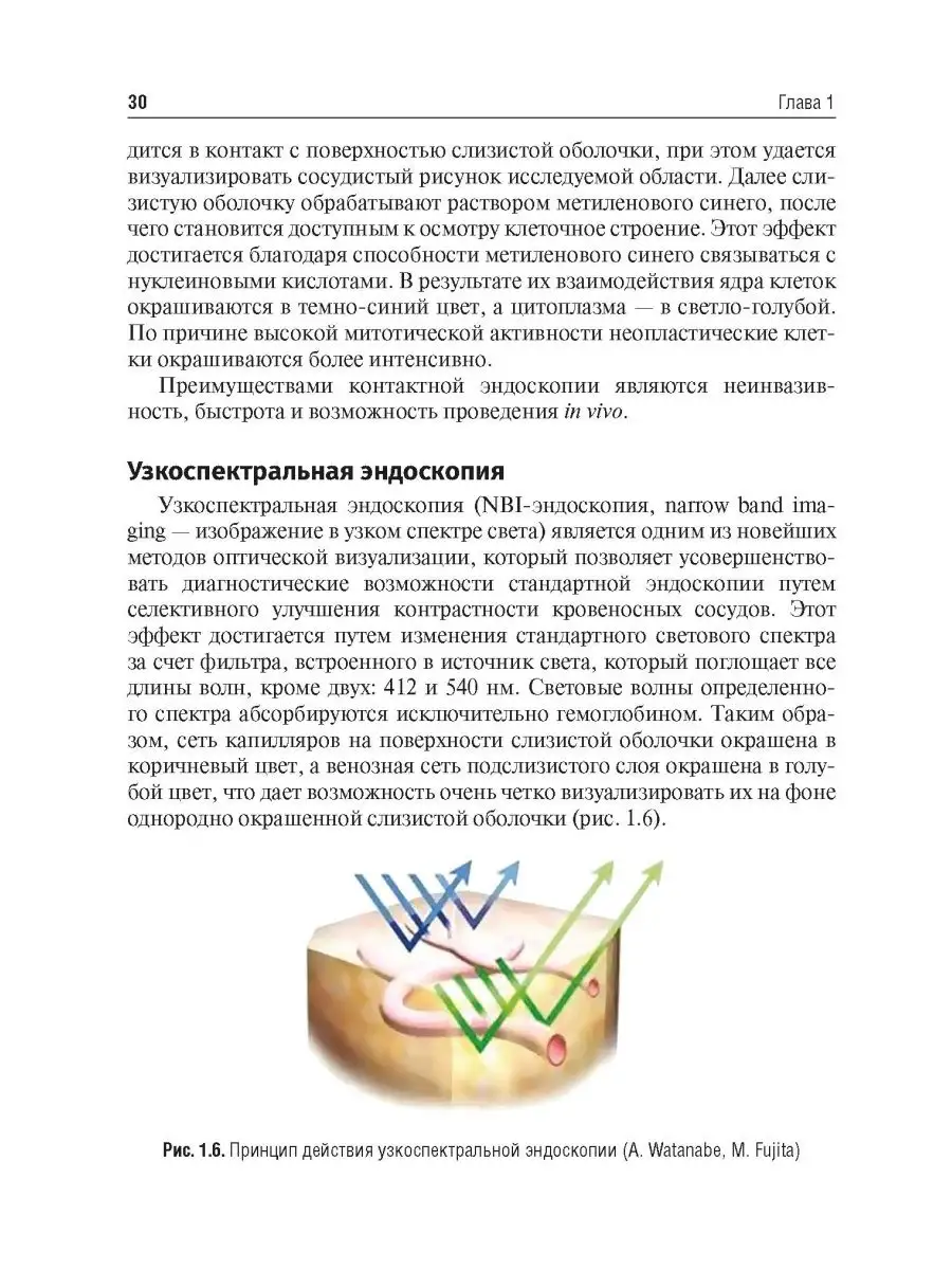 Онкологическая патология в практике врача-оториноларинголога ГЭОТАР  160348775 купить в интернет-магазине Wildberries