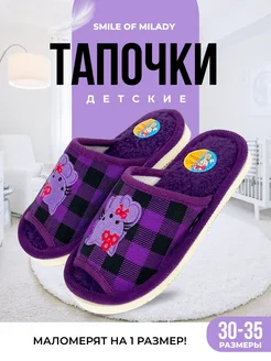 Тапочки для мальчика Smile of Milady 160361209 купить за 232 ₽ в интернет-магазине Wildberries