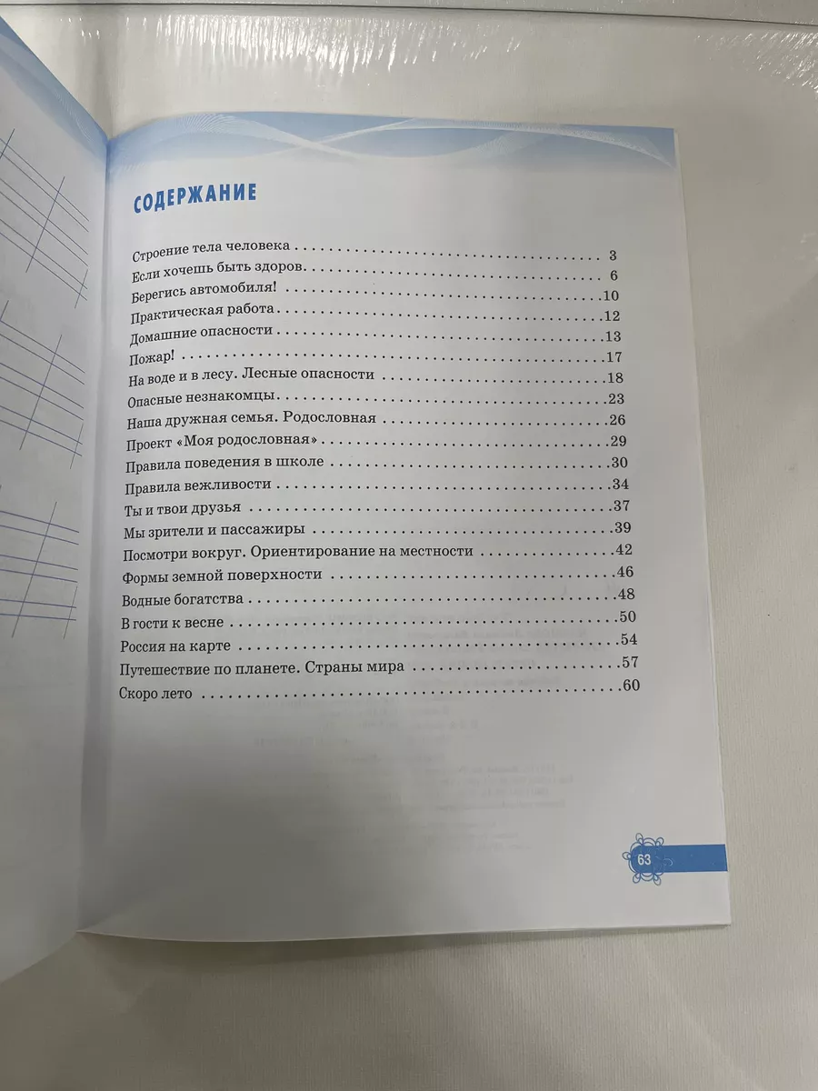 Наумова Окружающий мир 2 класс Рабочая тетрадь Наша школа 160391477 купить  за 529 ₽ в интернет-магазине Wildberries