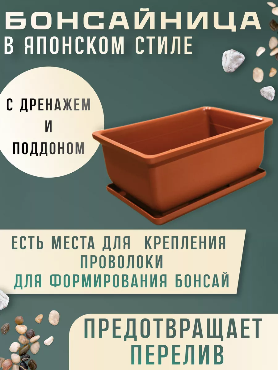 Набор для выращивания растений и деревьев бонсай для дома Тысяча листьев  160485058 купить в интернет-магазине Wildberries