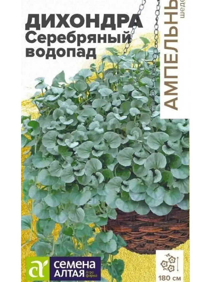 Дихондра СЕРЕБРЯНЫЙ ВОДОПАД Семена Алтая 160491194 купить за 228 ₽ в  интернет-магазине Wildberries