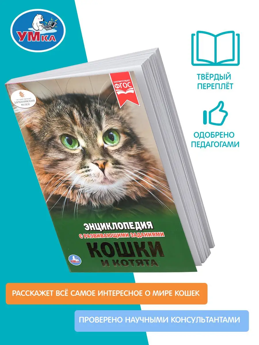 Книга детская энциклопедия с заданиями Кошки и котята Умка 160511317 купить  за 282 ₽ в интернет-магазине Wildberries