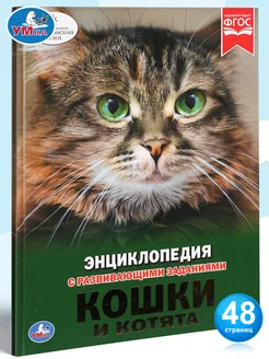 Книга детская энциклопедия с заданиями Кошки и котята Умка 160511317 купить за 259 ₽ в интернет-магазине Wildberries