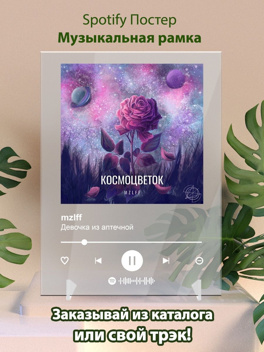 Космоцветок. Космоцветок MZLFF. Картина Spotify. MZLFF Anemone обложка. Космоцветок MZLFF обложка.