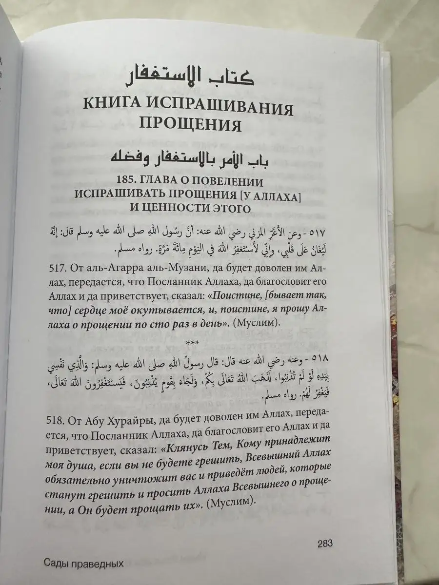 Сады праведных. Краткое изложение. Исламские книги Даруль-Фикр 160521370  купить за 652 ₽ в интернет-магазине Wildberries