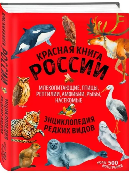 Паводки в Киевской области воскресили обмелевшую реку (ФОТО)