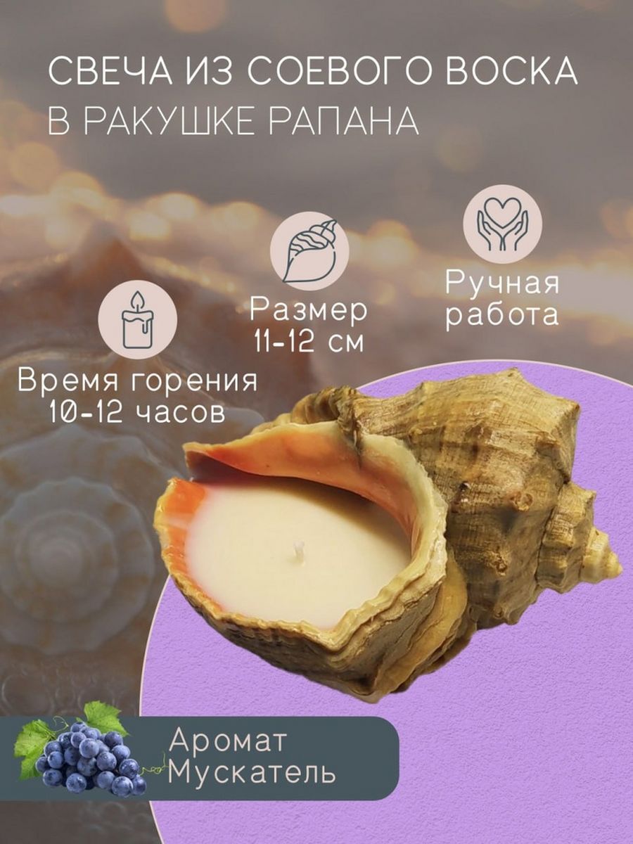 Свеча в ракушке рапана epoxlavka 160596439 купить за 324 ₽ в  интернет-магазине Wildberries