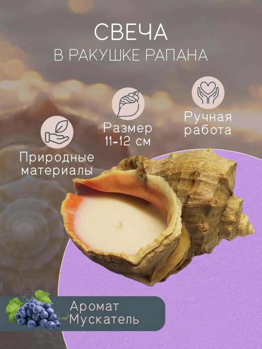 Свеча в ракушке рапана epoxlavka 160596439 купить за 324 ₽ в  интернет-магазине Wildberries