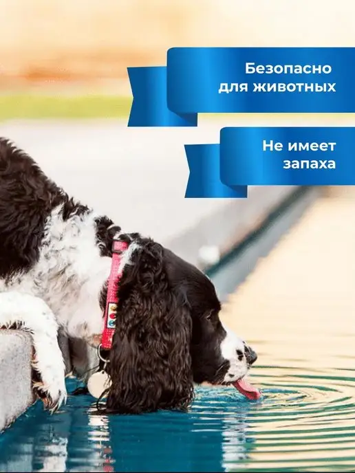 BREEZY POOL Средство для бассейнов 5л, 1 л, фото 3