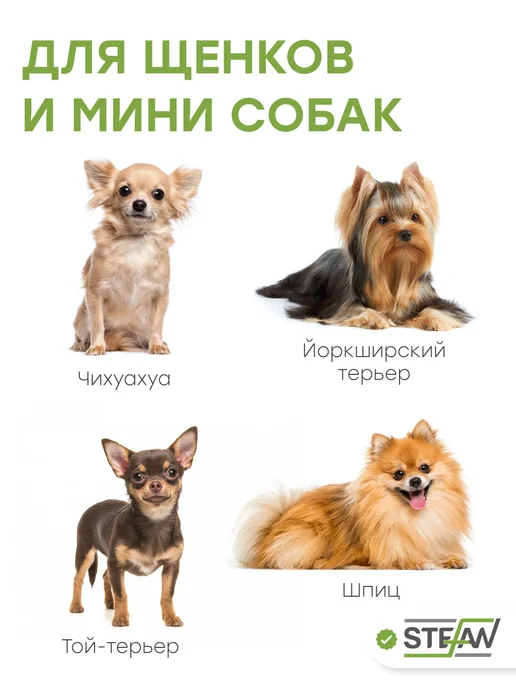 Stefan Туалет лоток для собак мелких пород с сеткой XS, белый, фото 2