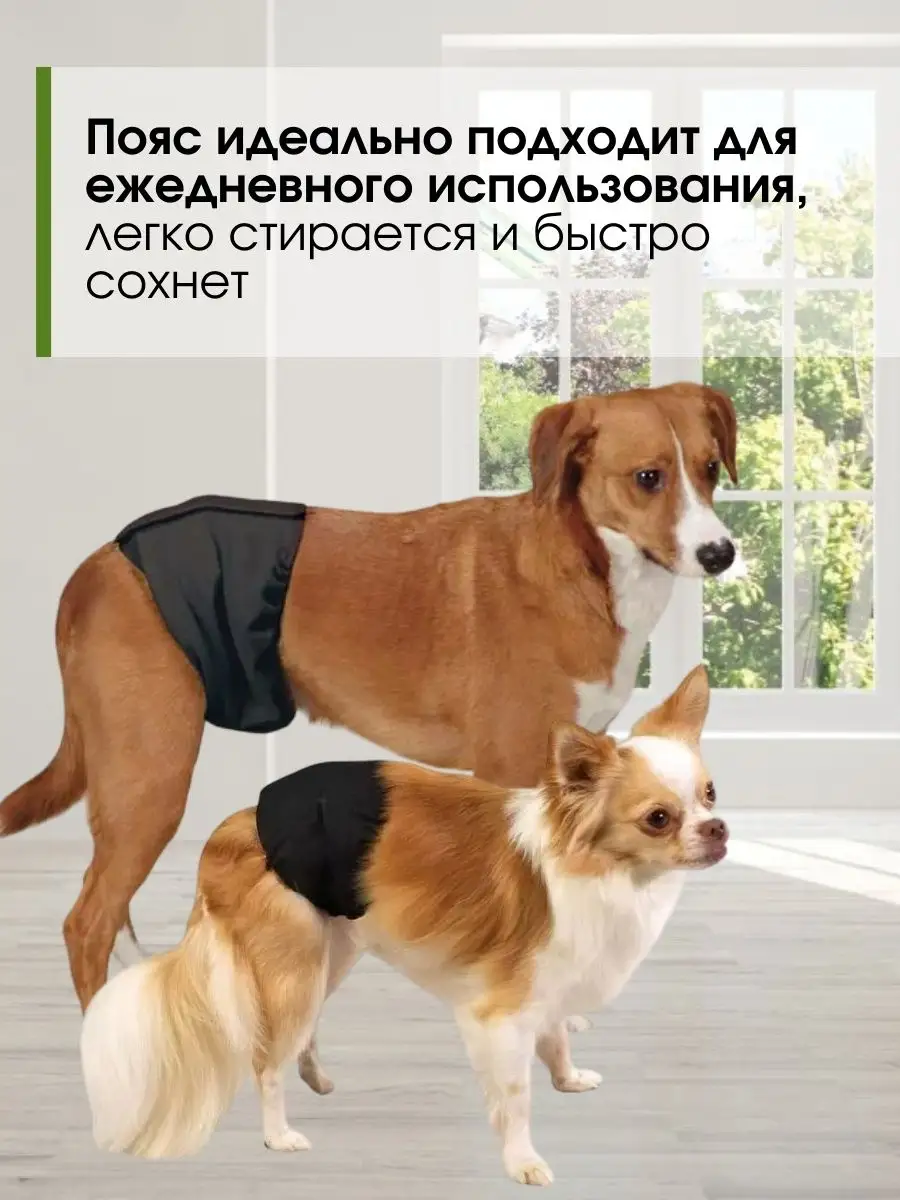 Dr. Verhovtsev Пояс для собак многоразовый памперс для кобеля трусы