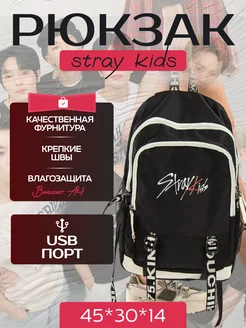 Рюкзак Stray Kids школьный подростковый Personarum 160770067 купить за 801 ₽ в интернет-магазине Wildberries