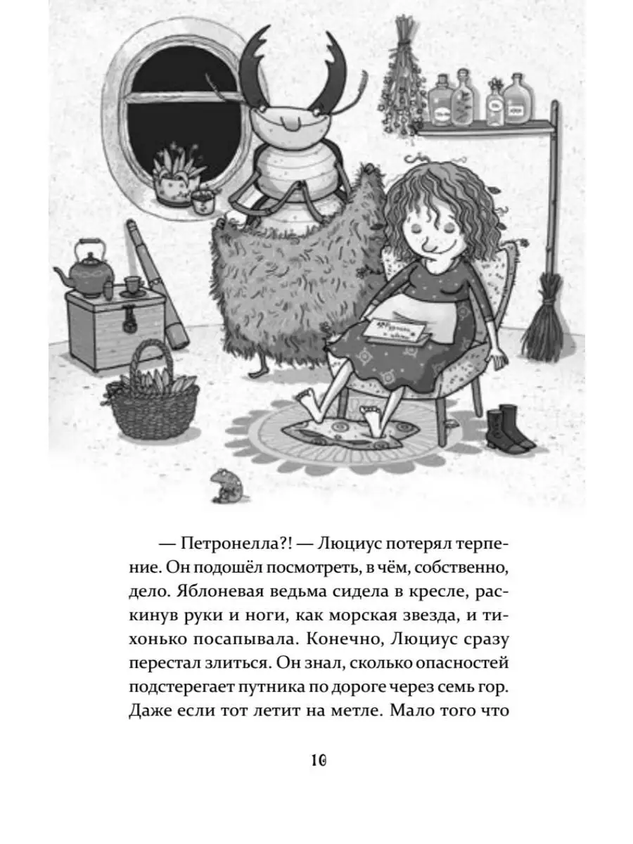 Петронелла и домик ведьмы ПИТЕР 160784249 купить за 425 ₽ в  интернет-магазине Wildberries