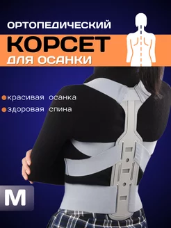 Корректор осанки здоровая спина Dion 239568635 купить за 498 ₽ в интернет-магазине Wildberries