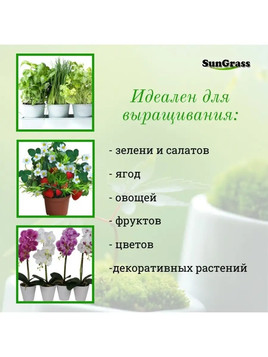 Теплица гроутент гроубокс для растений 80х80х160 см SunGrass 160827080  купить за 10 690 ₽ в интернет-магазине Wildberries