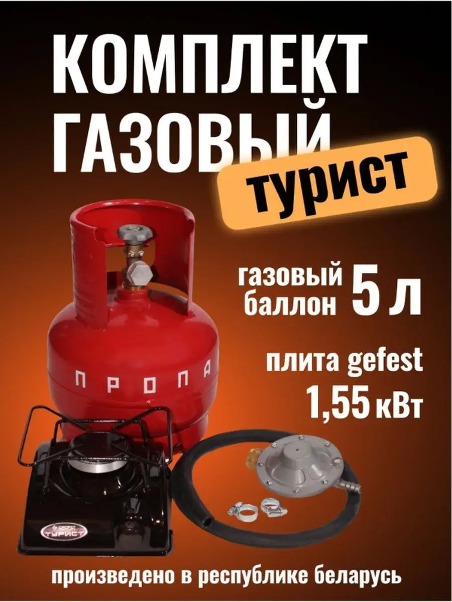 Портативная газовая плита (плитка) туристическая с баллоном в кейсе купить цена