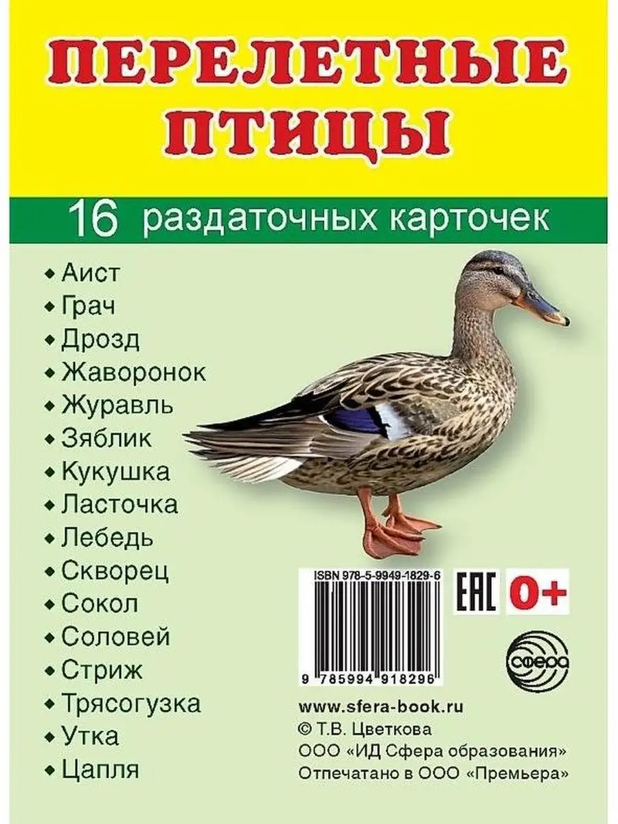 Скворцы из картона и бумаги: поделки перелетных птиц своими руками