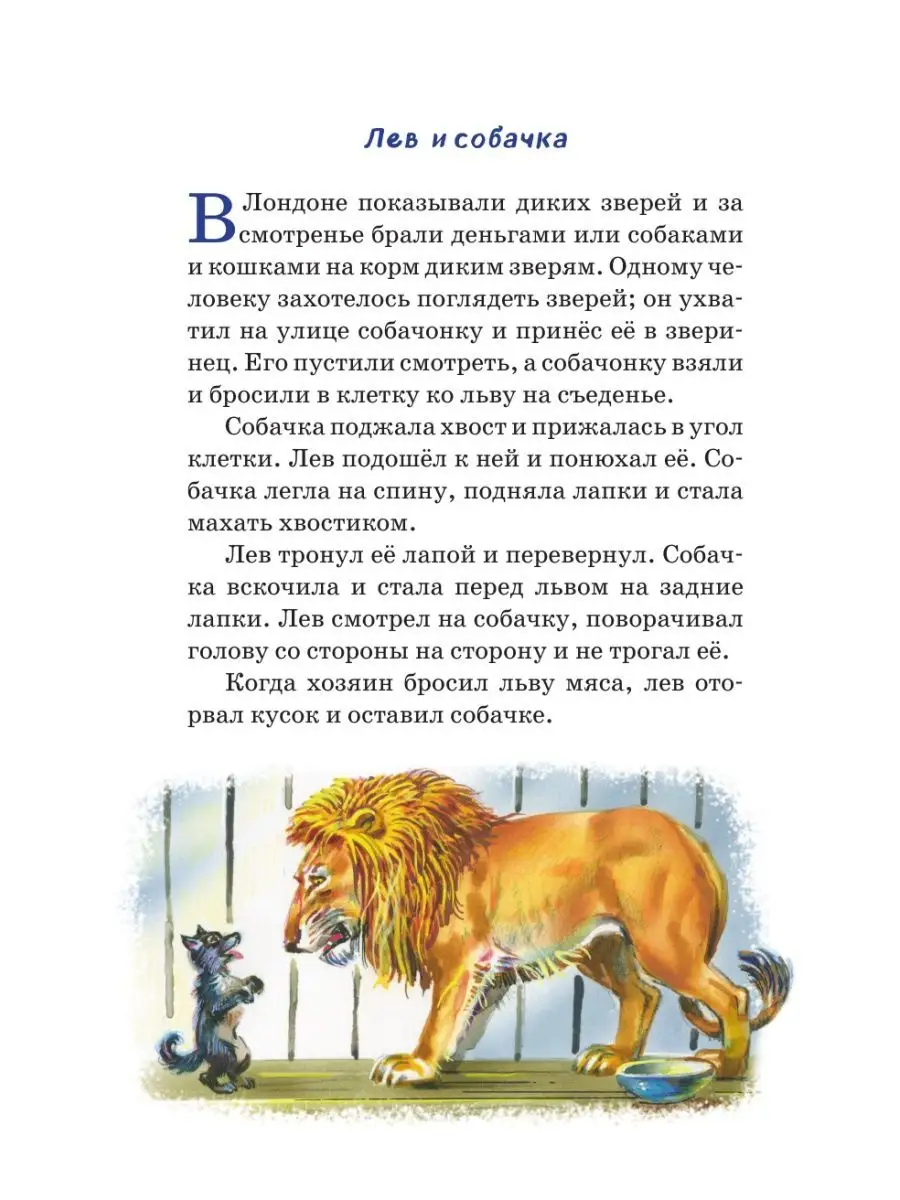 Филипок. Рассказы, сказки, басни. Внеклассное чтение Эксмо 160841000 купить  за 200 ₽ в интернет-магазине Wildberries