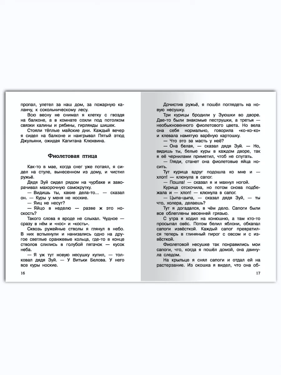 Алый и другие рассказы. Коваль Ю.И. Внеклассное чтение Омега-Пресс  160853618 купить за 305 ₽ в интернет-магазине Wildberries