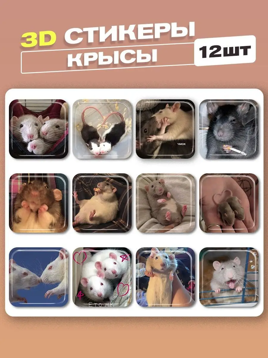 3d стикеры на телефон крысы cutecase.llc 160862142 купить за 264 ₽ в  интернет-магазине Wildberries