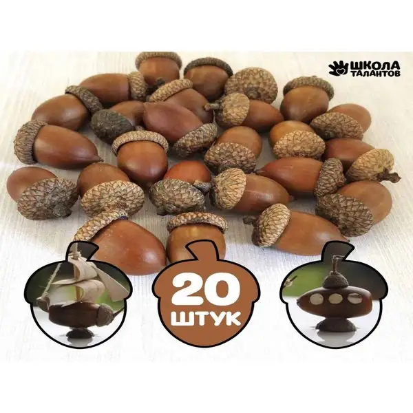 Декор для творчества Желуди набор 20шт 3х2см