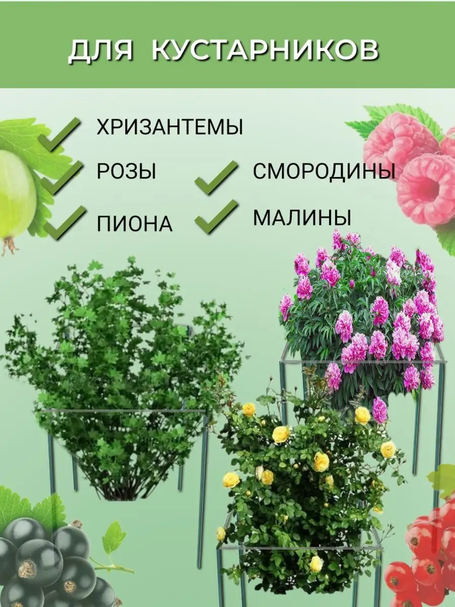 Ограждения для садовых растений и кустов