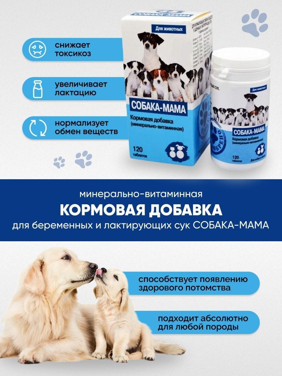 Таблетки для собак. Таблетки для собак комплексная. Комплексные капли для собак. Собака мама витамины