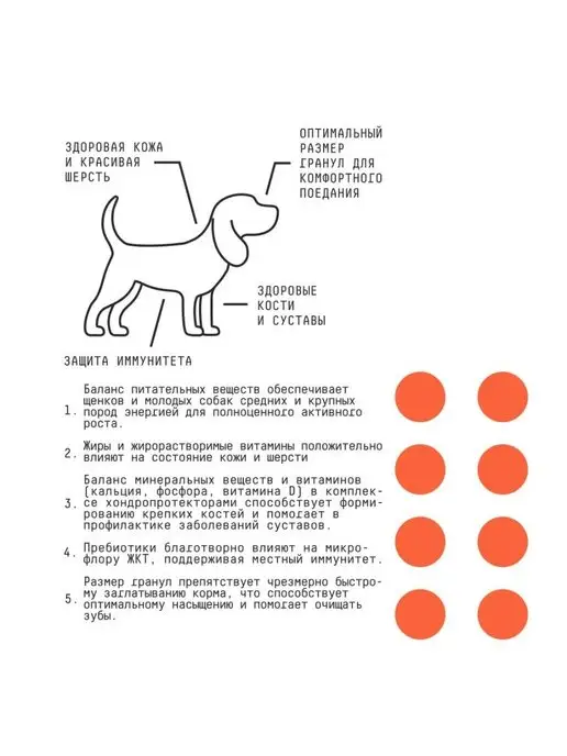 Сухой корм AJO Молодых для собак, крупные, средние, щенки, 12 кг, фото 5