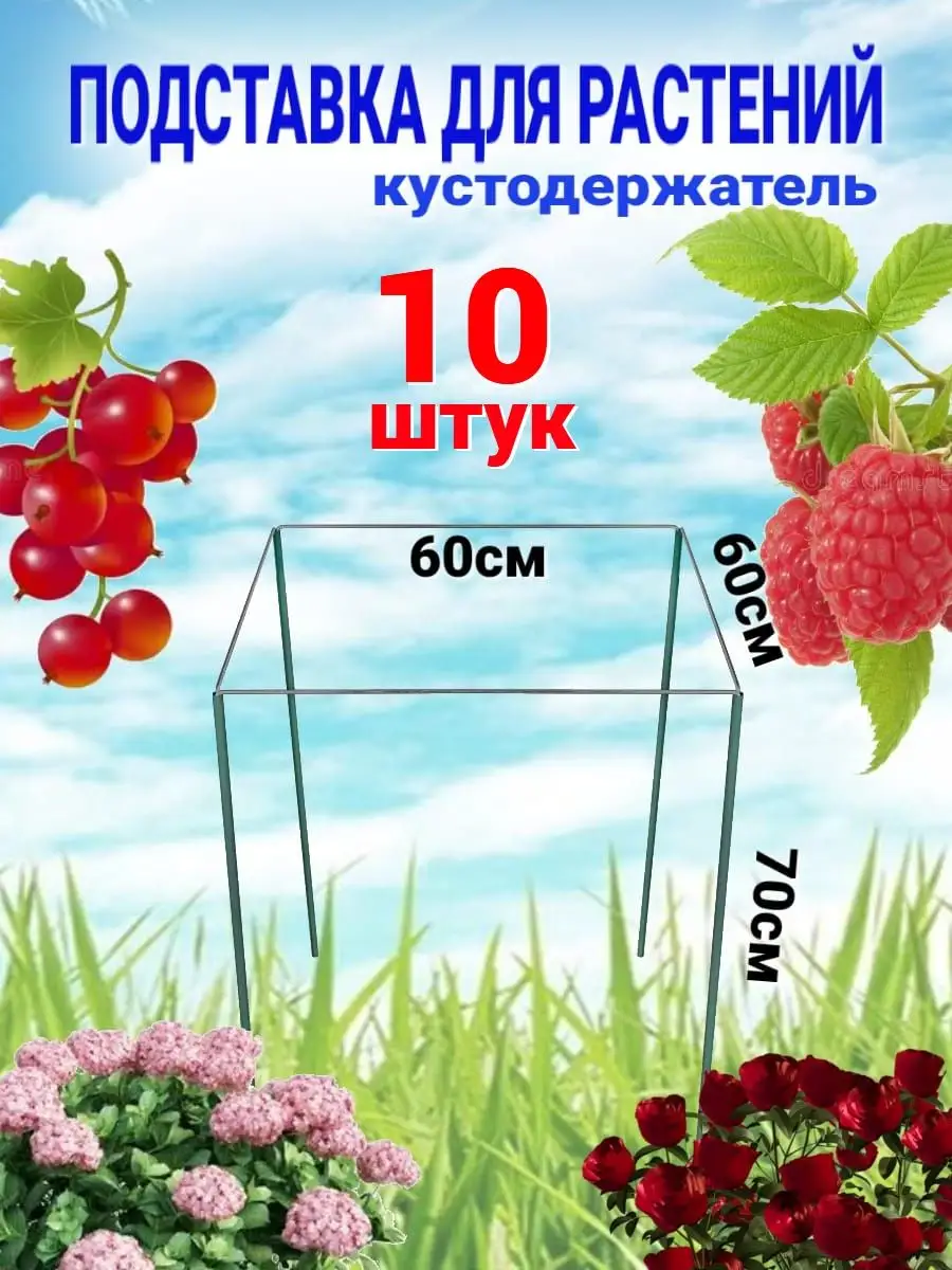 подставки для пионов - Форум дачников Украины. Восстановим озоновый слой на 6-ти сотках!