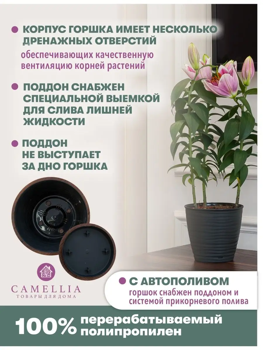 Горшок для цветов с автополивом черный кашпо пластик набор Camellia товары  для дома 160957782 купить за 440 ₽ в интернет-магазине Wildberries