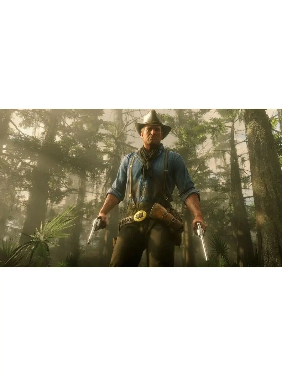 Red Redemption 2 Ps 4 Купить