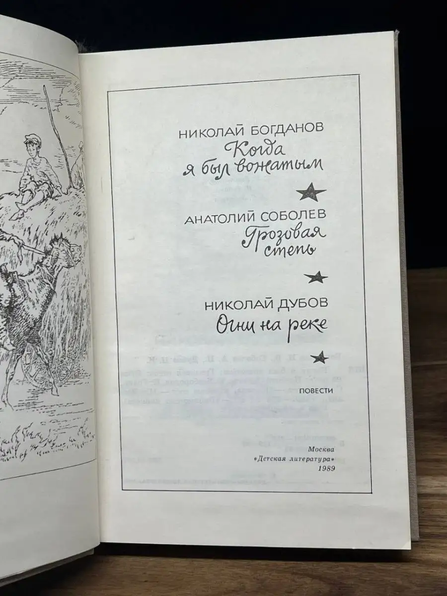 Когда я был вожатым. Грозовая степь. Огни на реке Детская литература.  Москва 160989705 купить в интернет-магазине Wildberries