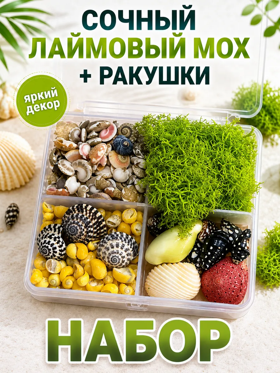 Набор для рукоделия со мхом и ракушками