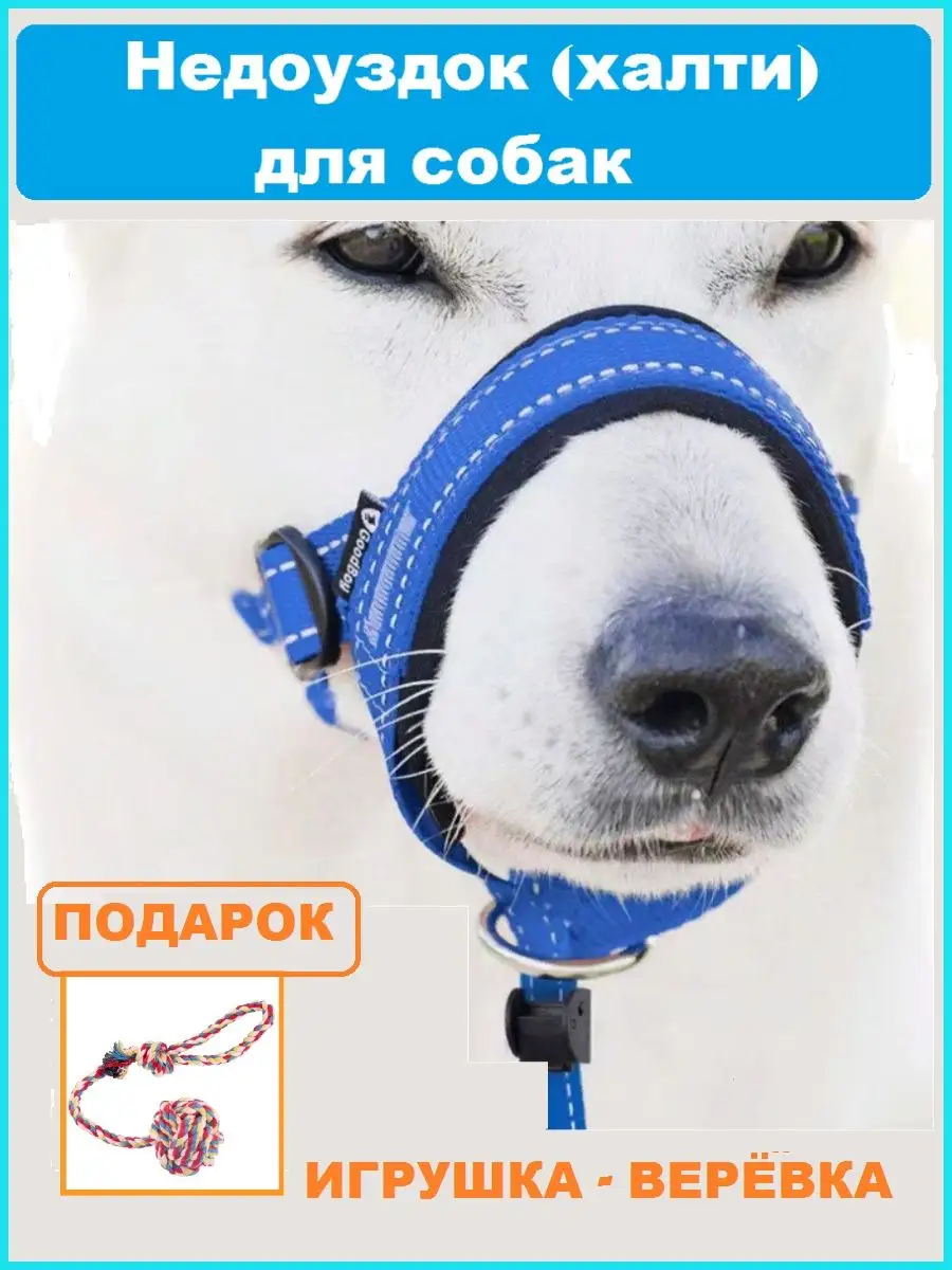 Недоуздок для собак и...