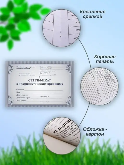 Листолад Сертификат прививок для детей в садик и школу, вариант, фото 3