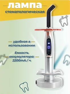 Стоматологическая полимеризационная лампа LED-B серебристая Ekkel DENTs 161173877 купить за 2 161 ₽ в интернет-магазине Wildberries