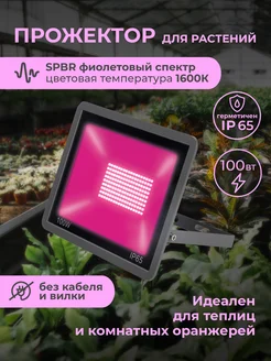 Интернет-магазин Wildberries: широкий ассортимент товаров - скидки каждый день!