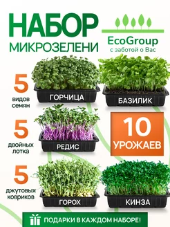 Микрозелень для выращивания EcoGroup 161221392 купить за 471 ₽ в интернет-магазине Wildberries