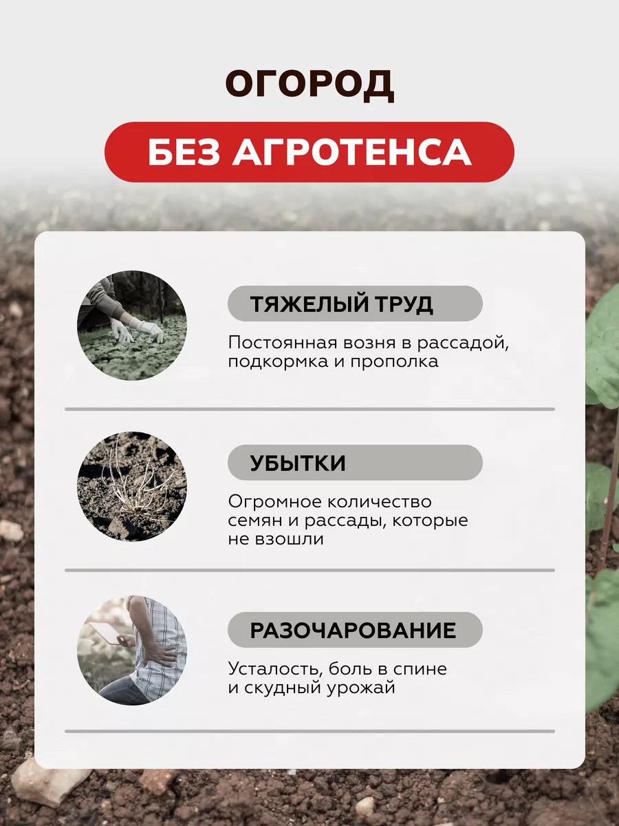 Удобрение для рассады, комнатных растений, огорода и сада Агротенс /  Agrotens 161286595 купить за 294 ₽ в интернет-магазине Wildberries