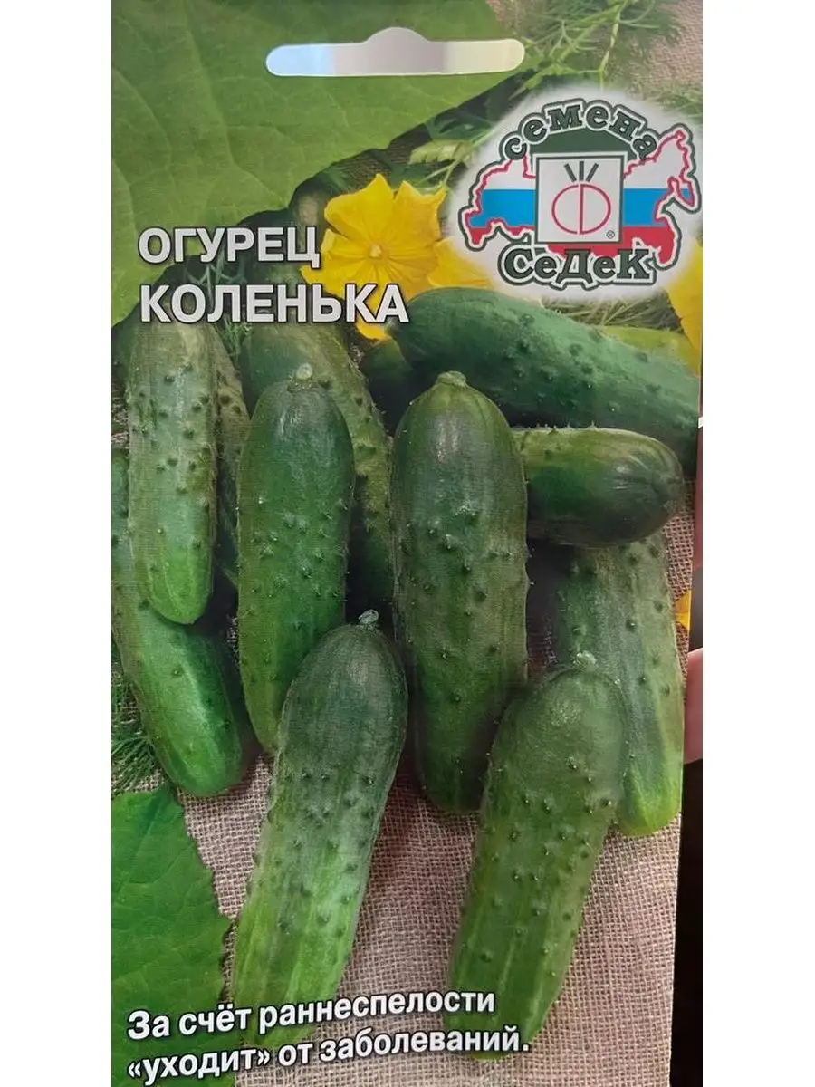 СеДек Огурец Коленька