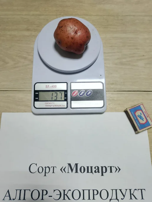 АЛГОР-ЭКОПРОДУКТ Картофель Моцарт - 1,8 кг, 1,8 кг, фото 2