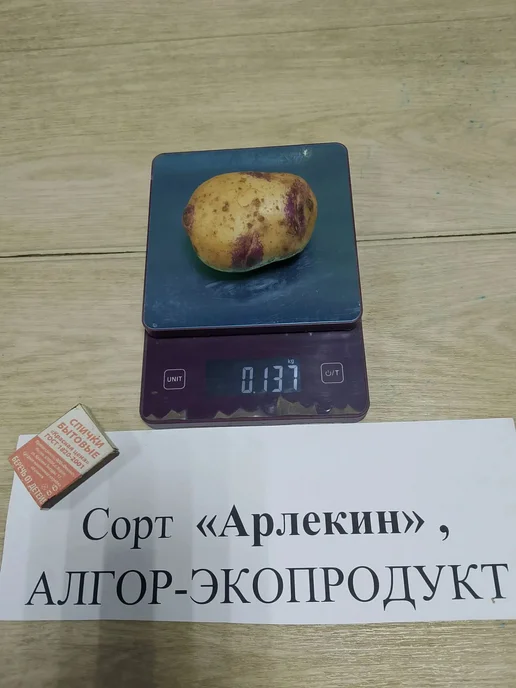 АЛГОР-ЭКОПРОДУКТ Картофель Арлекин - 1 кг, 1 кг, фото 2