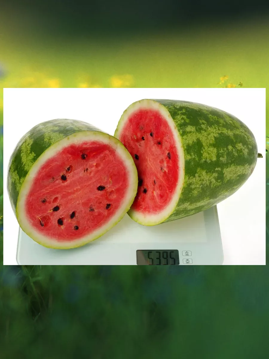 Что отличает этот вид культуры