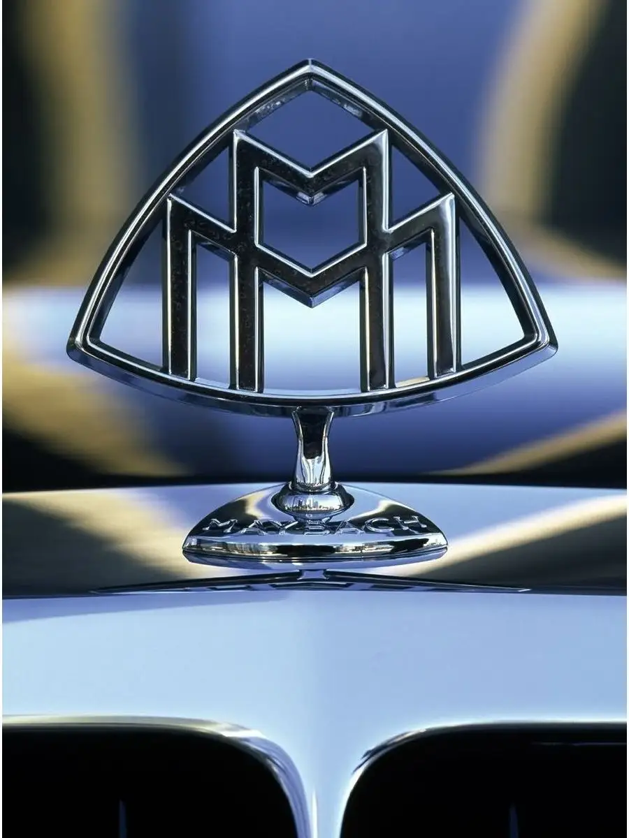  Maybach     Mercedes-Benz  VS-Garage 161368421    2 377   - Wildberries