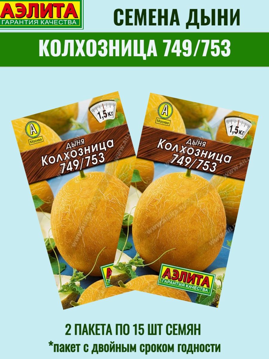 Калорий в дыне колхозница. Семена дыни для Сибири. Дыня колхозница описание. Дыня колхозница фото и описание. Дыня колхозница 749/753 ап.