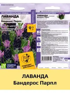 Семена Лаванда Бандерос Парпл, 1 уп Семена Алтая 161388988 купить за 158 ₽ в интернет-магазине Wildberries